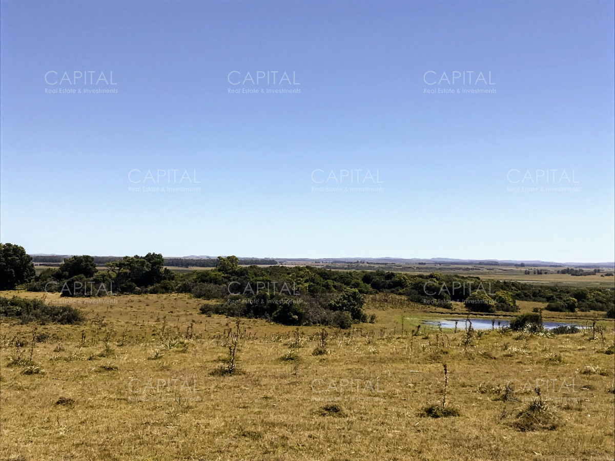 Chacra ID.29940 - Chacra en El Caracol - Garzon 108 Has, en venta