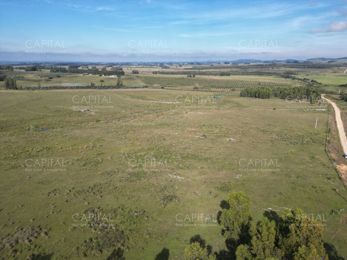 Chacra ID.38277 - Chacra 5 has - Sierra de los Caracoles