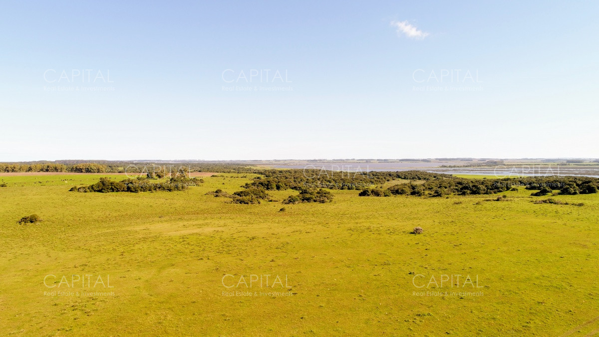 Chacra ID.29940 - Chacra en El Caracol - Garzon 108 Has, en venta