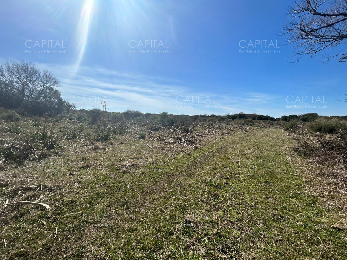 Chacra ID.35123 - Chacra con casa moderna en venta, Ruta 39. 