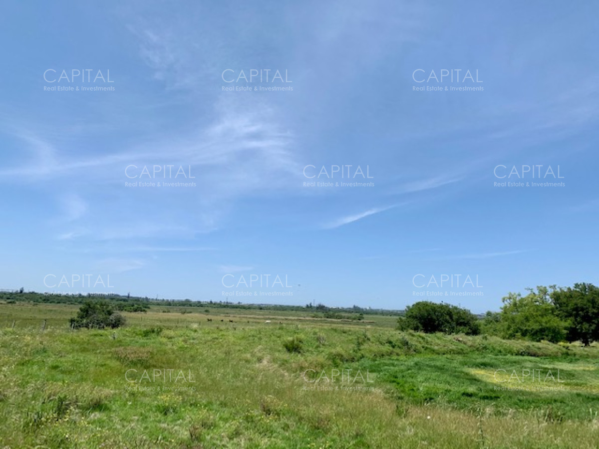 Chacra ID.28488 - Chacra con arroyo de casi 19 hectáreas disponible en Venta