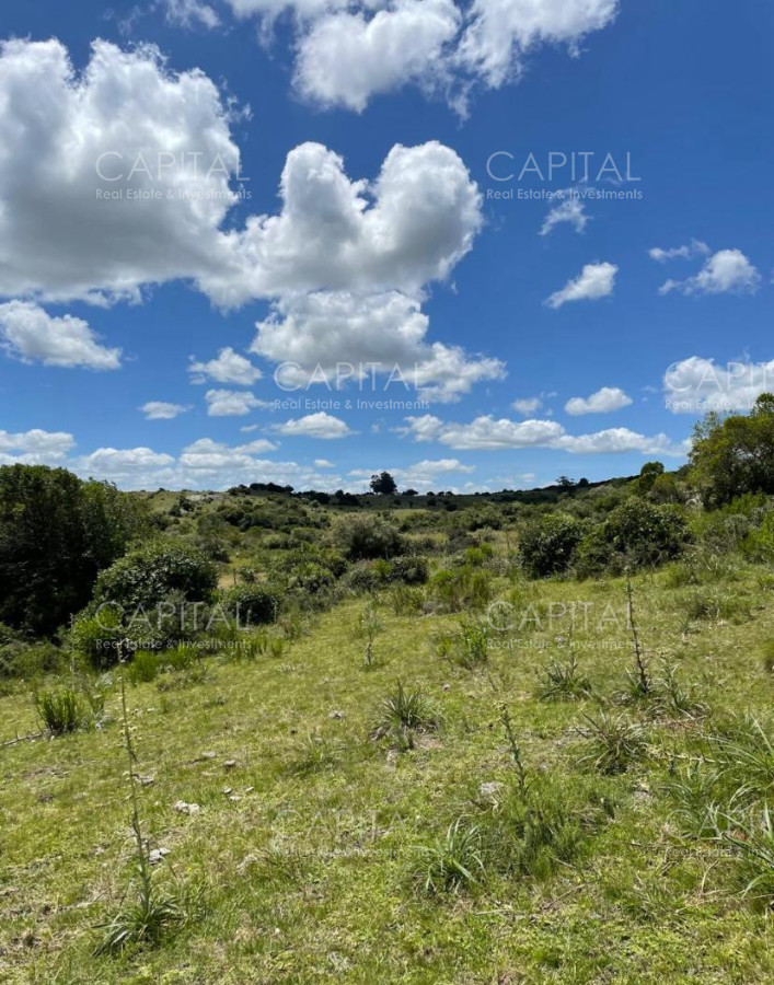 Chacra ID.38327 - Chacra de 8 has - zona MATAOJO 