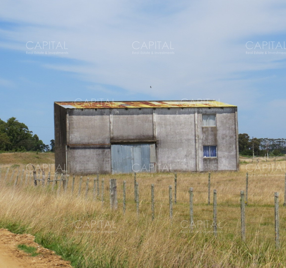 Chacra ID.39479 - Chacra de 5 has zona club de Polo - La Paloma 