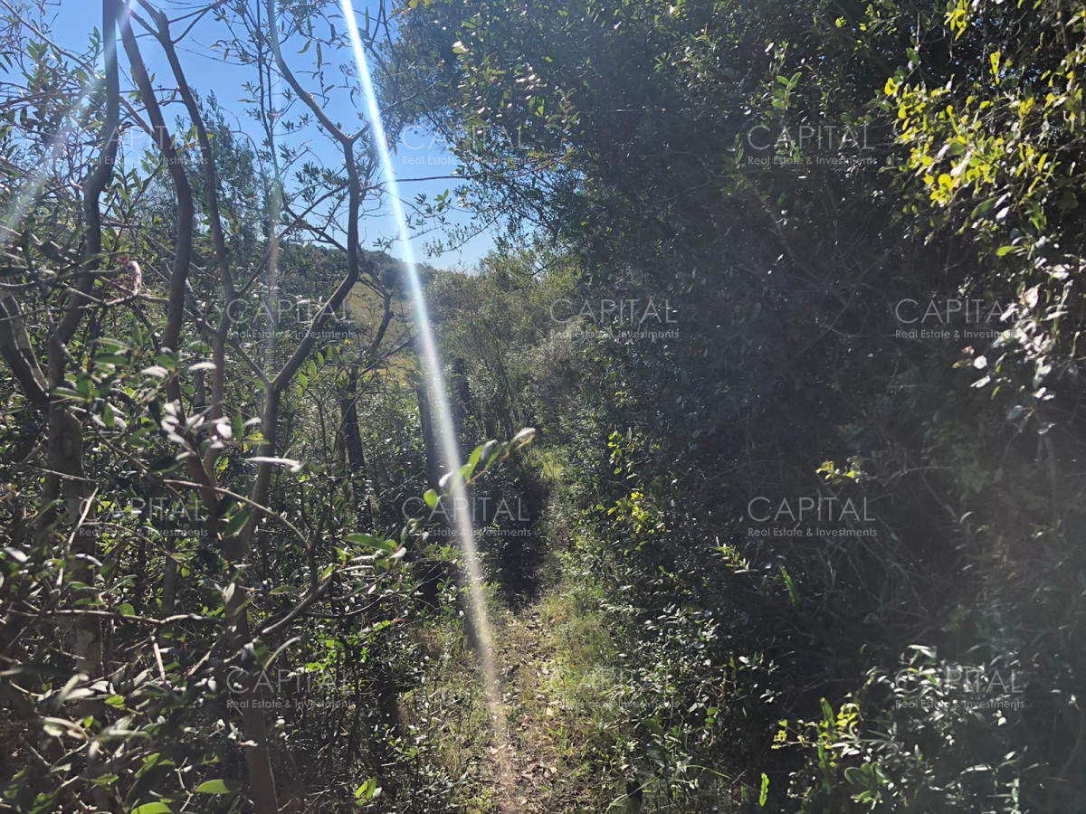 Chacra ID.31247 - Chacra en Ruta 39, en venta