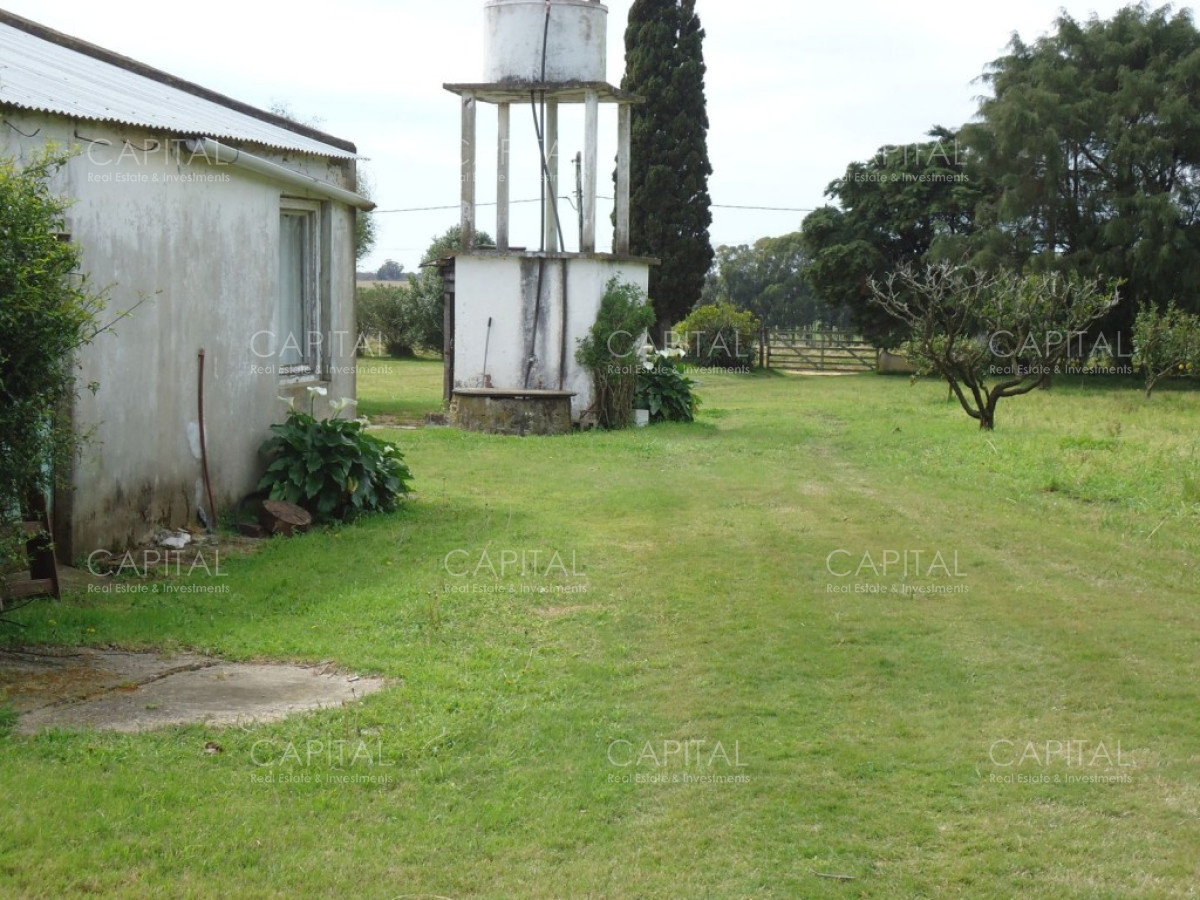 Chacra ID.27664 - Excelente Chacra en venta en zona de La Pataia