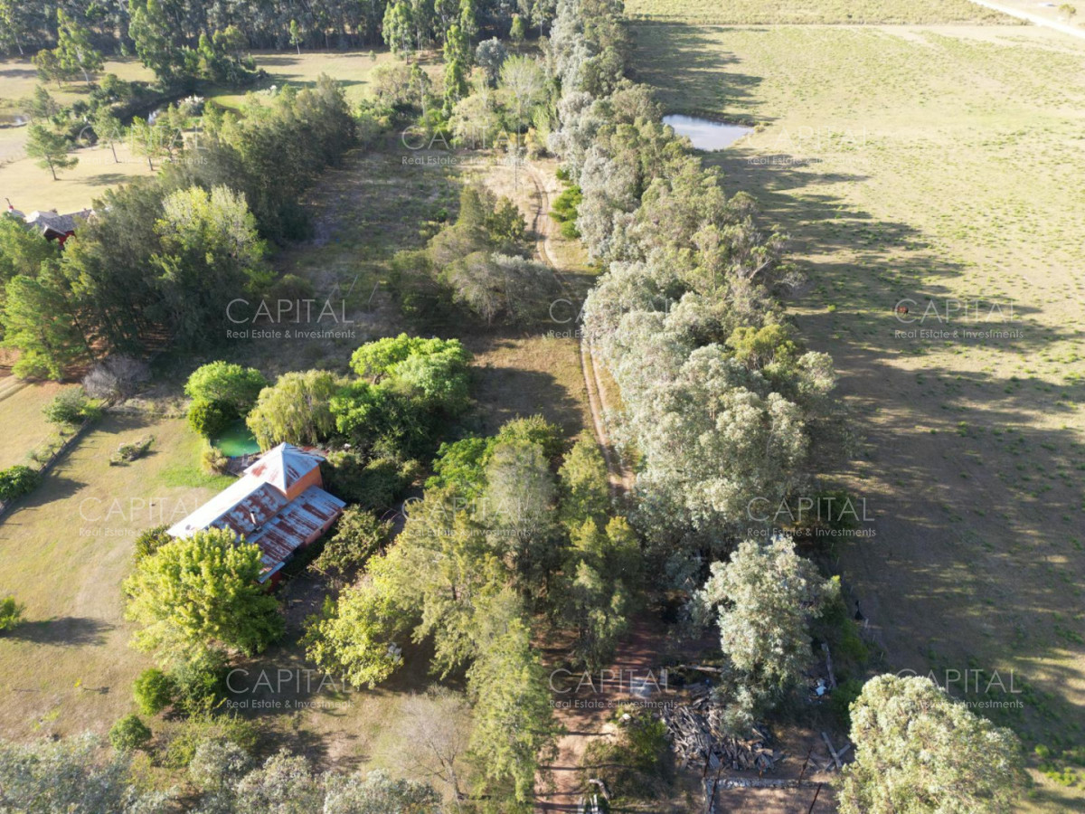 Chacra ID.39823 - Chacra en Venta en Manantiales