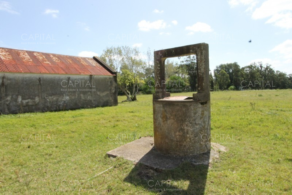 Chacra ID.36637 - Excepcional Chacra 12 HAS en Narbona