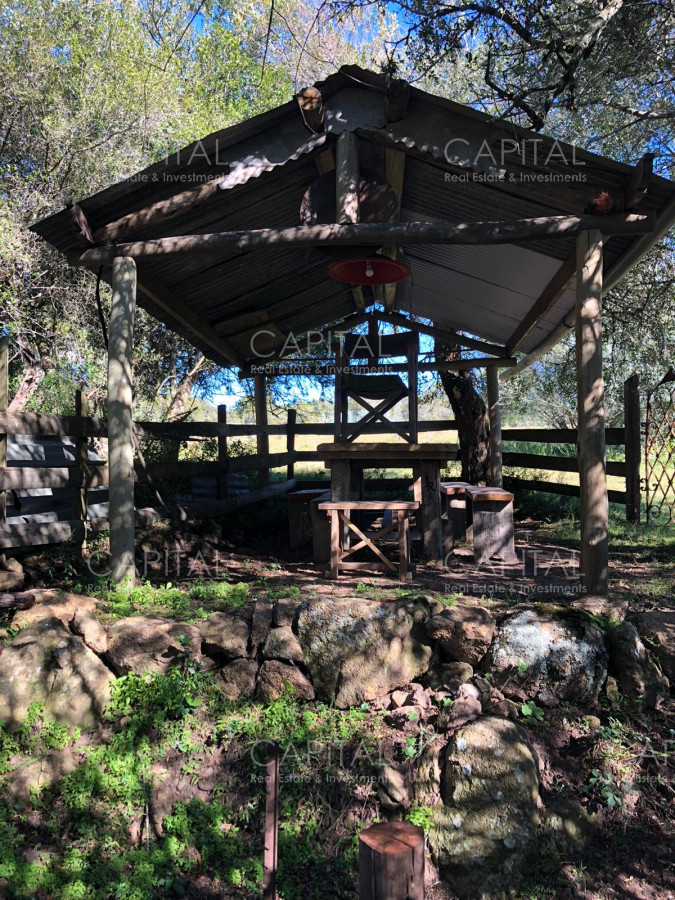 Chacra ID.31247 - Chacra en Ruta 39, en venta