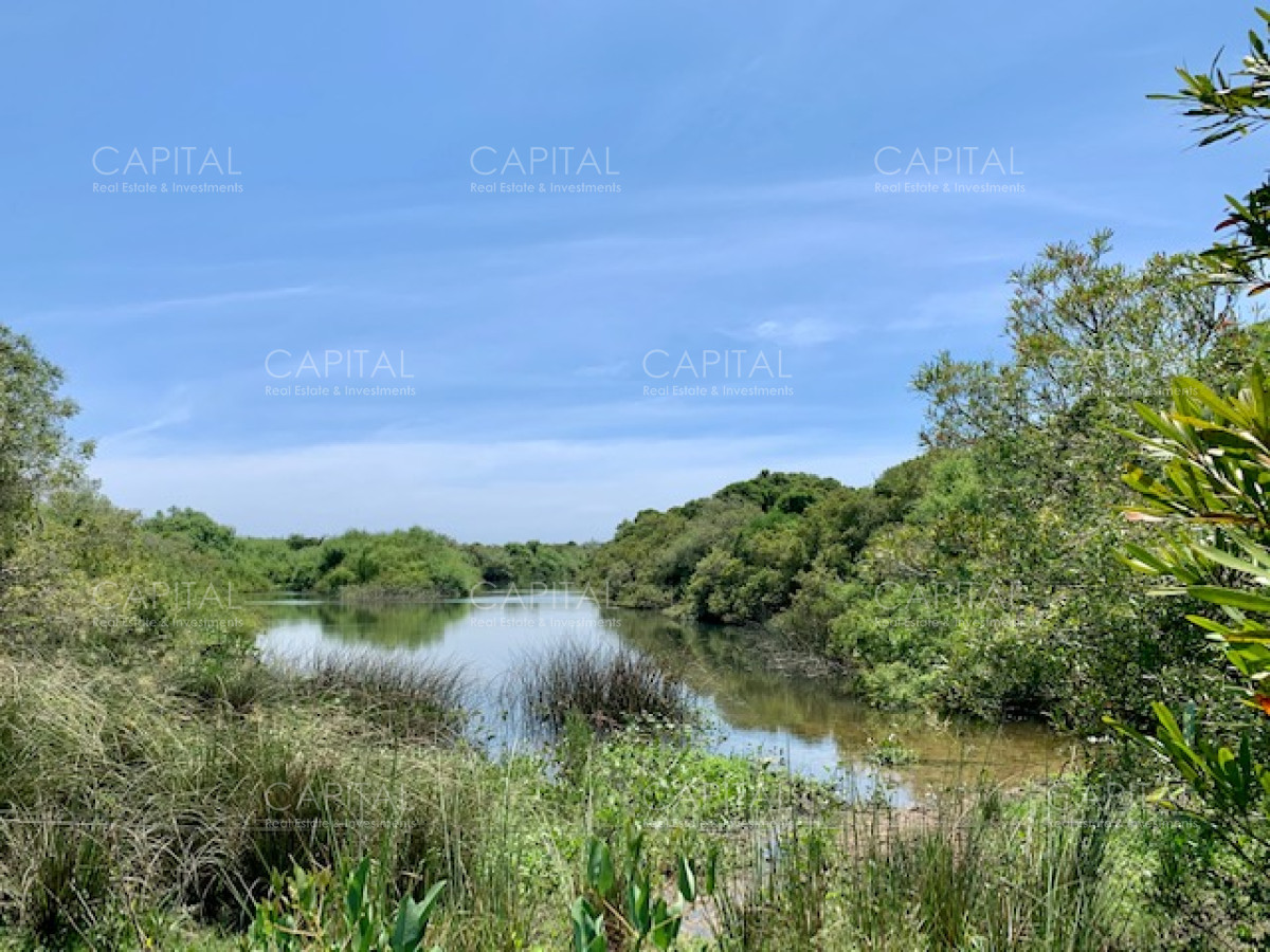 Chacra ID.28488 - Chacra con arroyo de casi 19 hectáreas disponible en Venta