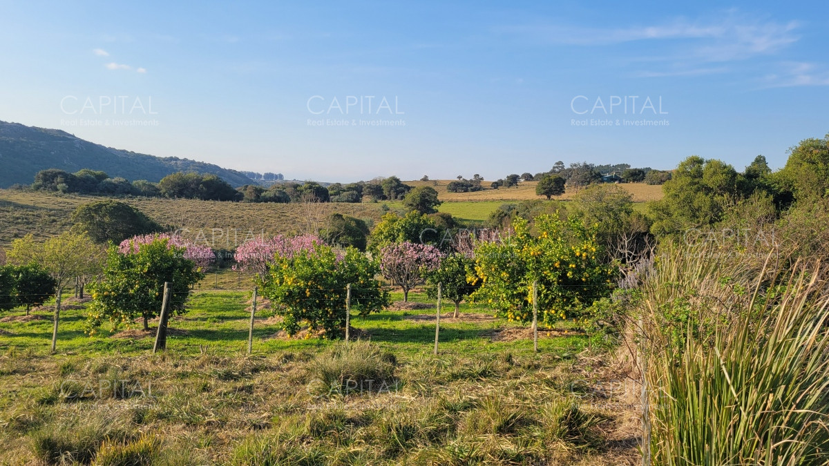 Chacra ID.35103 - Chacra en venta Sierras de Maldonado - Uruguay.