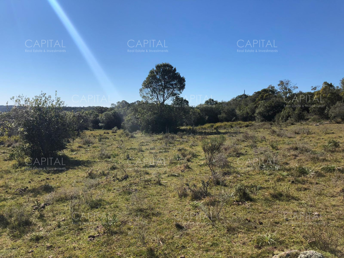Chacra ID.31247 - Chacra en Ruta 39, en venta