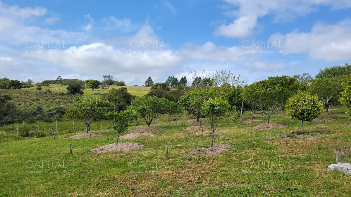 Chacra ID.35103 - Chacra en venta Sierras de Maldonado - Uruguay.
