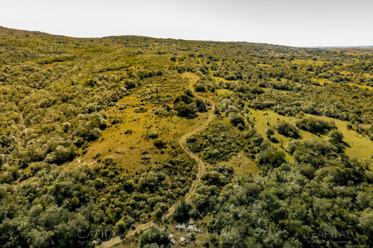 Chacra ID.37348 - Chacras en SECREToS club de campo 