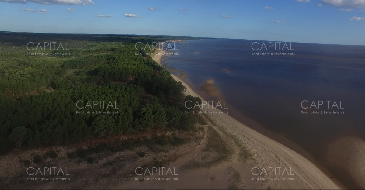 Chacra ID.29280 - Chacra con costa al Rio de La Plata