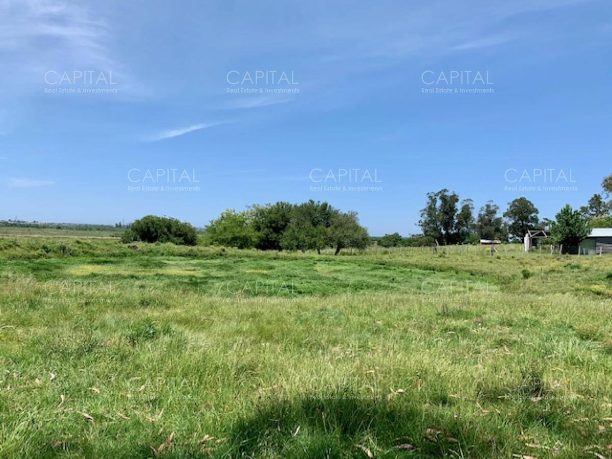 Chacra ID.28488 - Chacra con arroyo de casi 19 hectáreas disponible en Venta