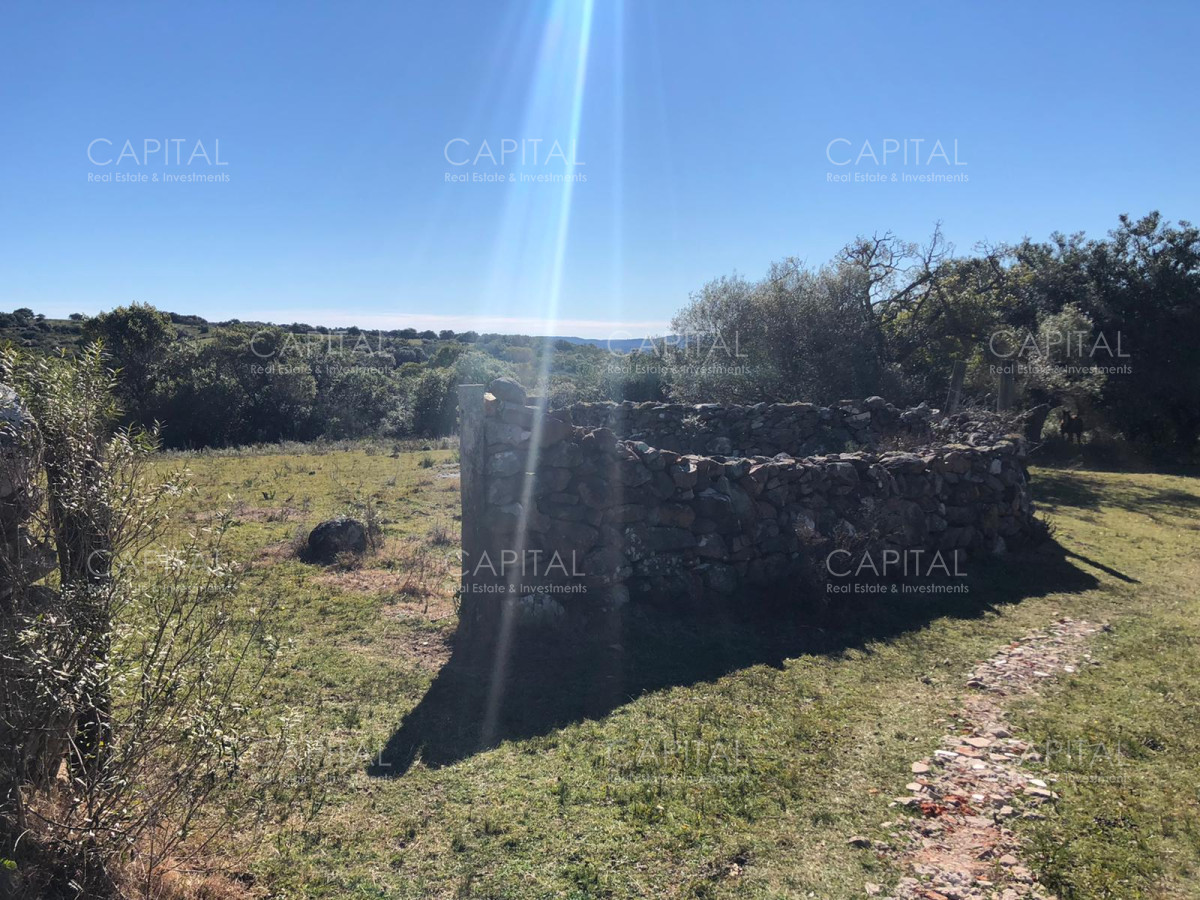 Chacra ID.31247 - Chacra en Ruta 39, en venta
