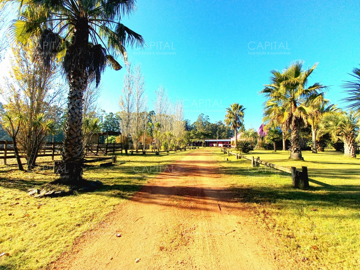 Chacra ID.34724 - Espectacular Chacra en Venta La Pataia