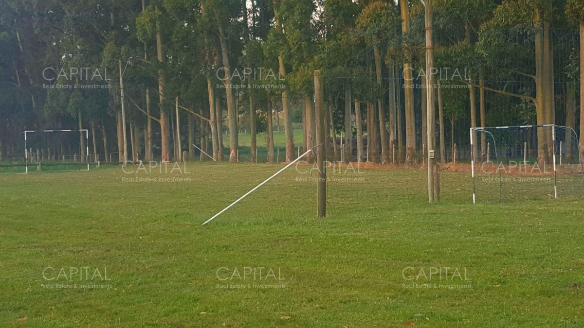 Chacra ID.34724 - Espectacular Chacra en Venta La Pataia