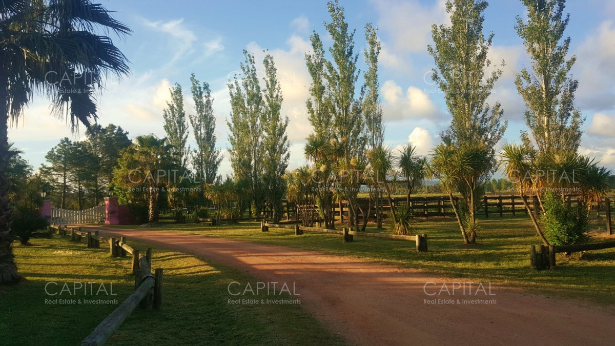 Chacra ID.34724 - Espectacular Chacra en Venta La Pataia