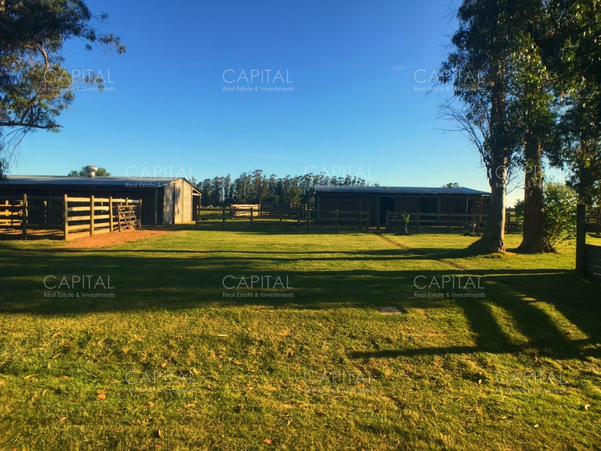 Chacra ID.34724 - Espectacular Chacra en Venta La Pataia