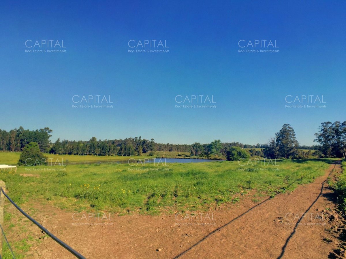 Chacra ID.34724 - Espectacular Chacra en Venta La Pataia