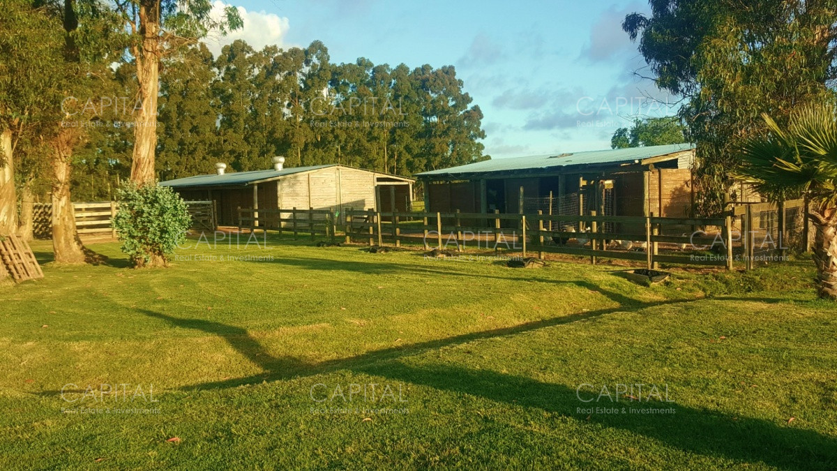 Chacra ID.34724 - Espectacular Chacra en Venta La Pataia