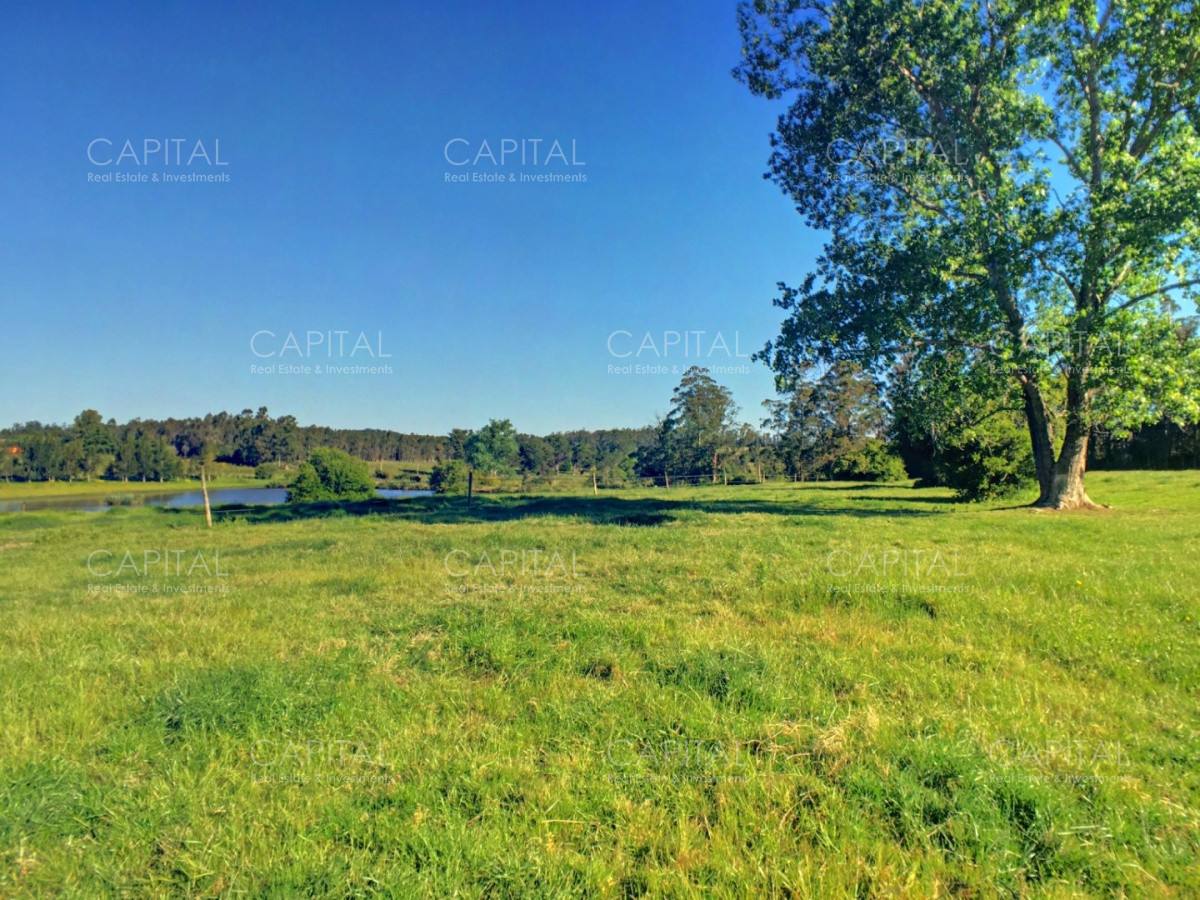 Chacra ID.34724 - Espectacular Chacra en Venta La Pataia