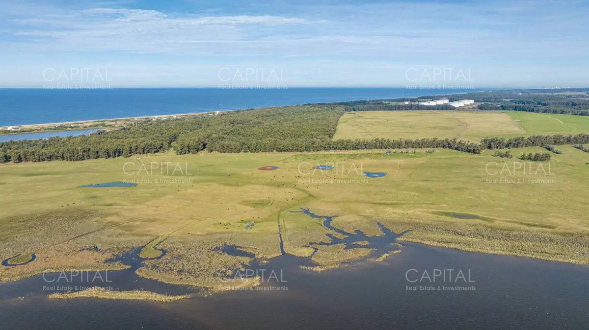 Chacra ID.39456 - ESPECTACULAR CHACRA SOBRE LAGUNA JOSÉ IGNACIO 