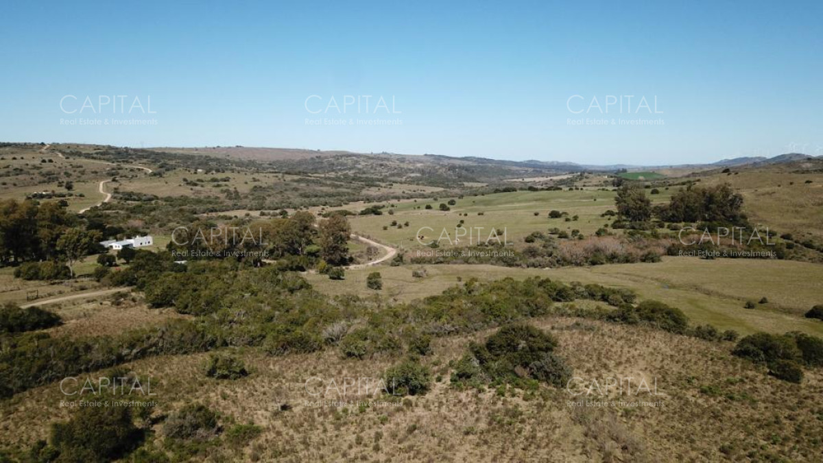 Chacra ID.33255 - Chacra en las sierras por Ruta 39