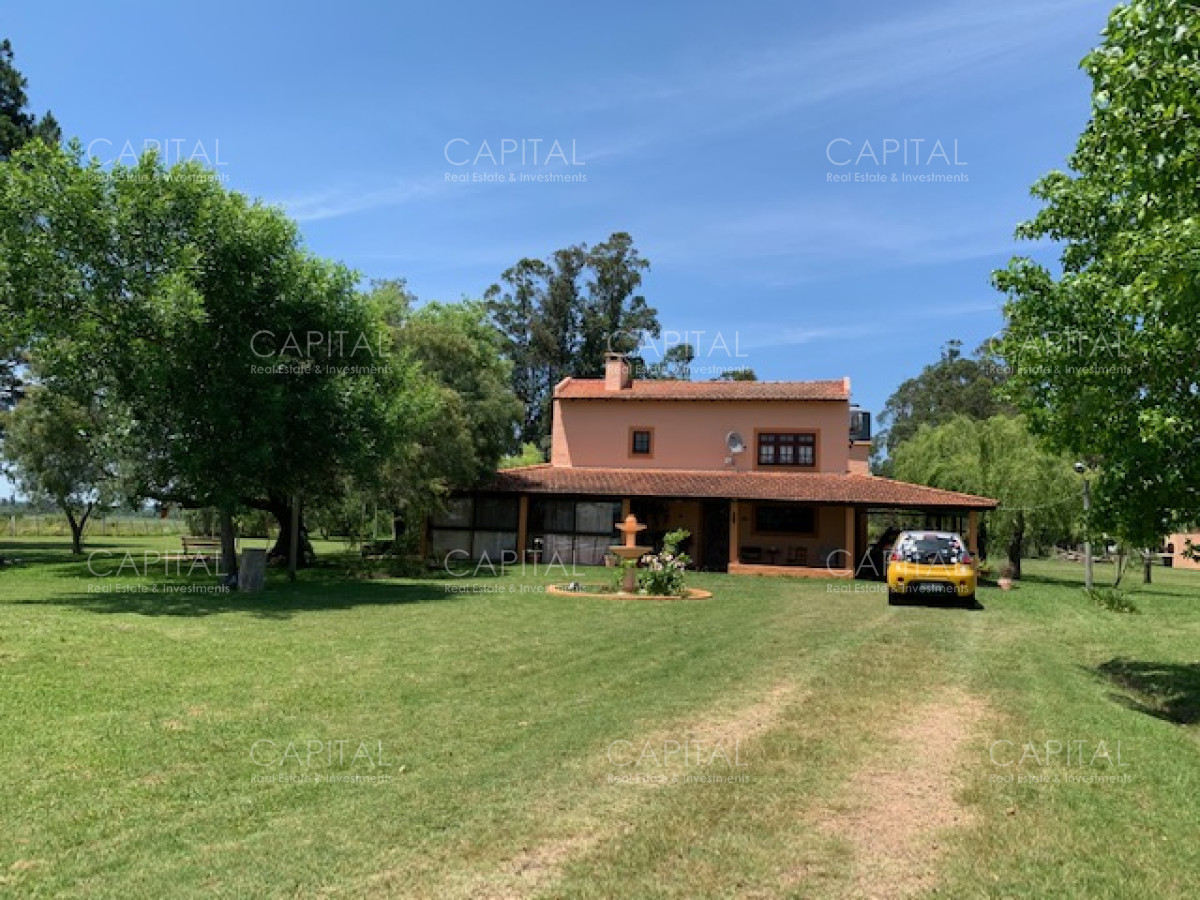 Chacra ID.28488 - Chacra con arroyo de casi 19 hectáreas disponible en Venta