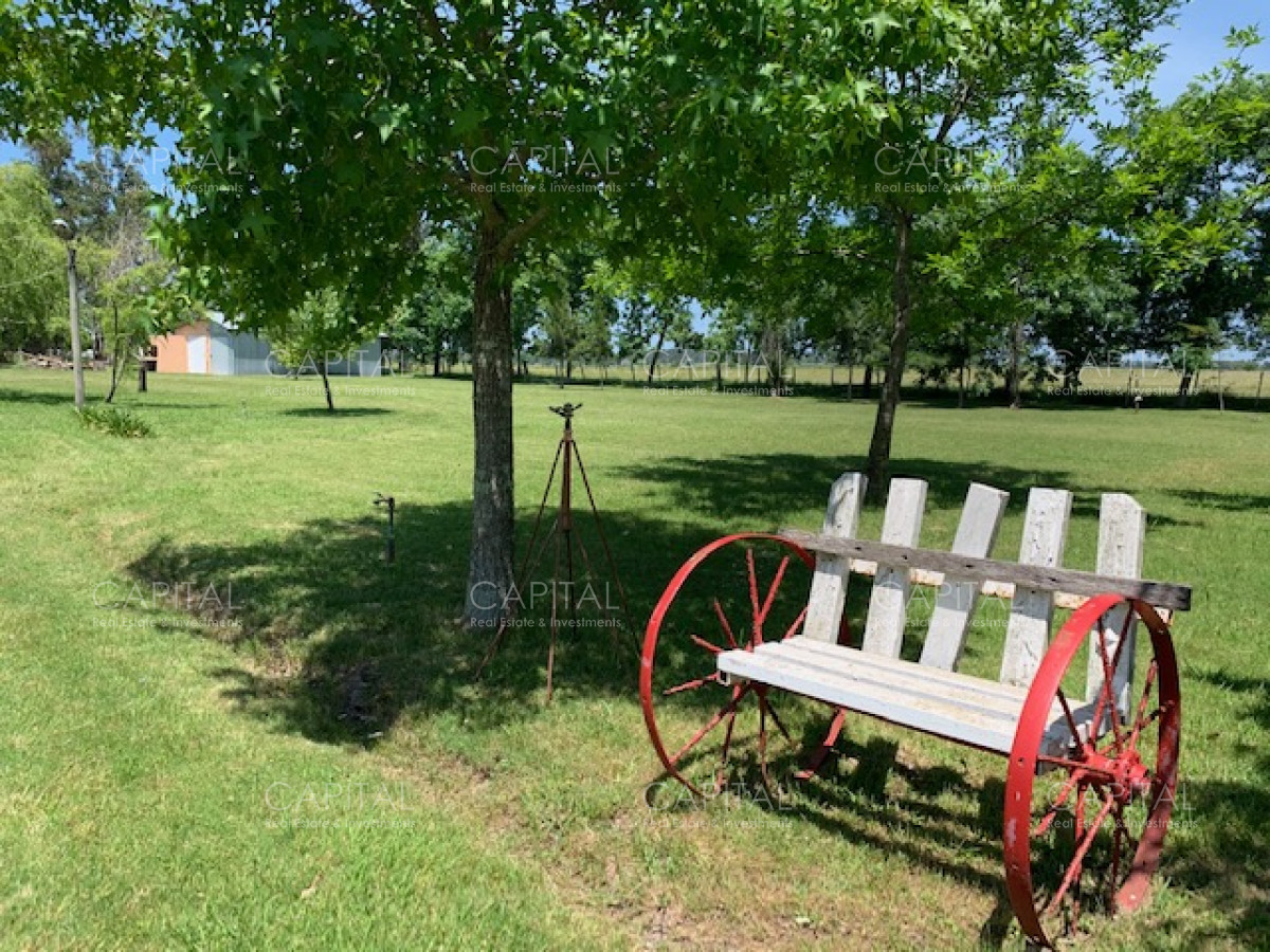 Chacra ID.28488 - Chacra con arroyo de casi 19 hectáreas disponible en Venta