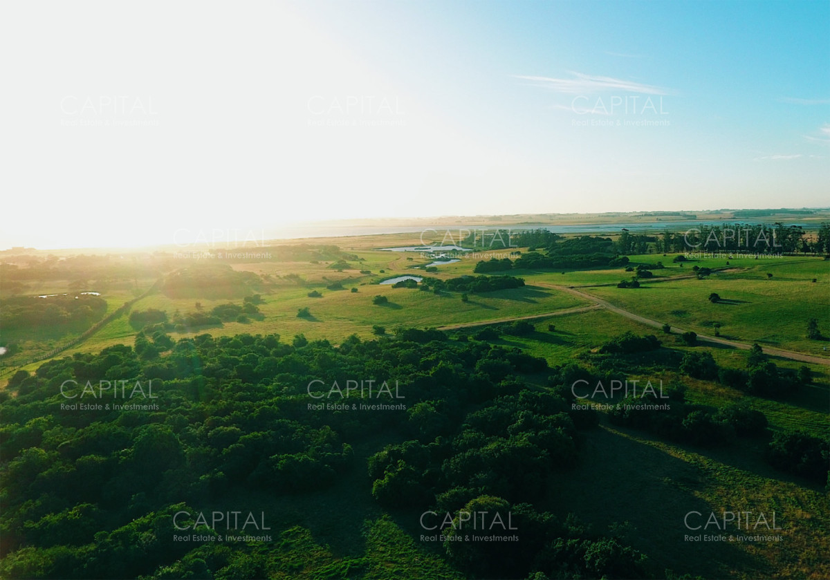 Chacra ID.39588 - Espectacular Chacra de 5has en Jose Ignacio