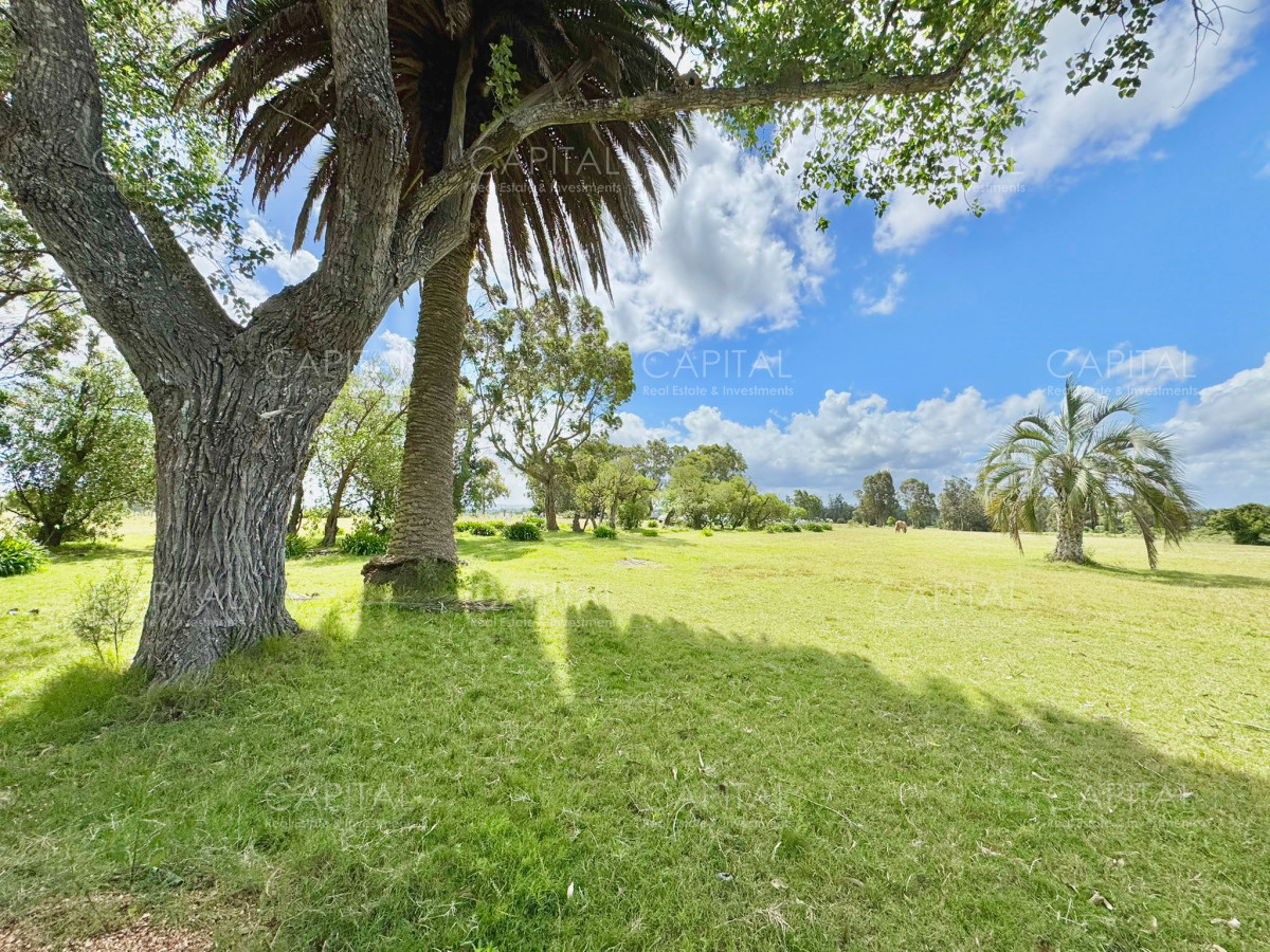 Chacra ID.37032 - Chacra en Ruta 104 de 5 hectáreas con moderna casa