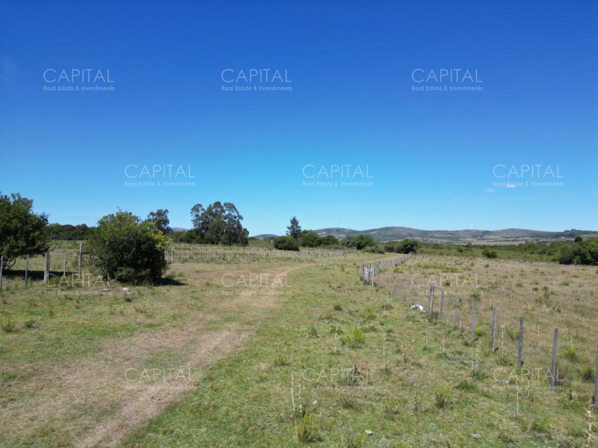 Chacra ID.39639 - Inversión estratégica :Excelente chacra con gran potencial turístico 11has  