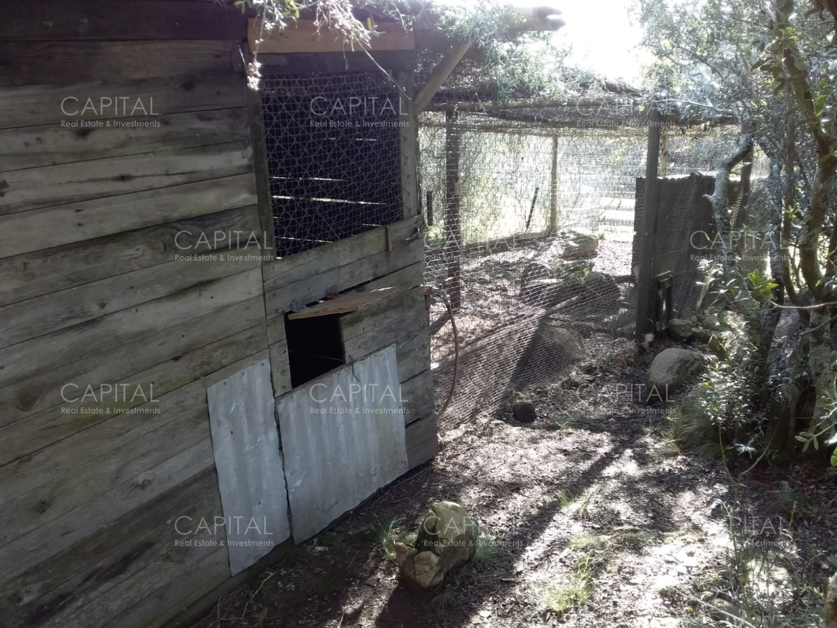 Chacra ID.31247 - Chacra en Ruta 39, en venta