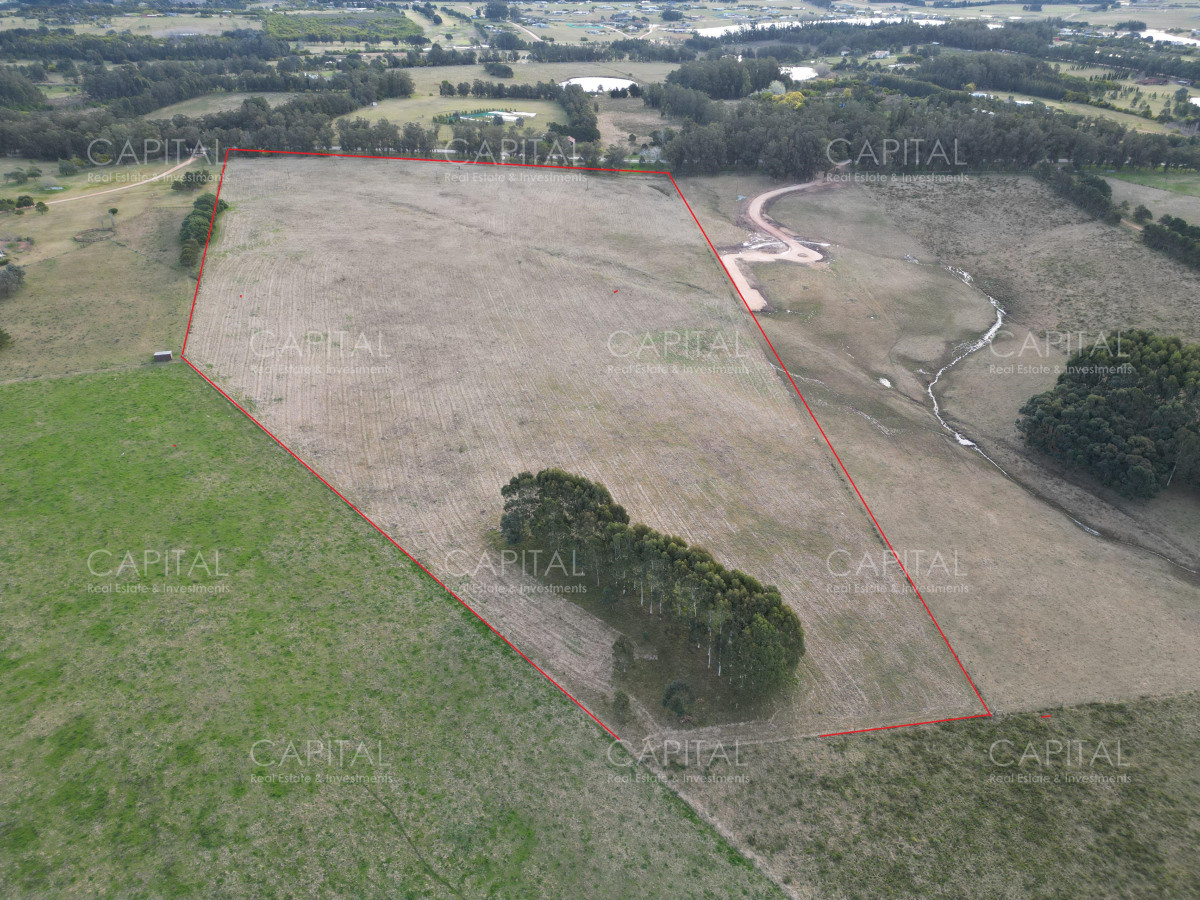 Chacra ID.38797 - Espectacular chacra 10 has sobre ruta 104 ,Pueblo Mío , MACA , NARBONA