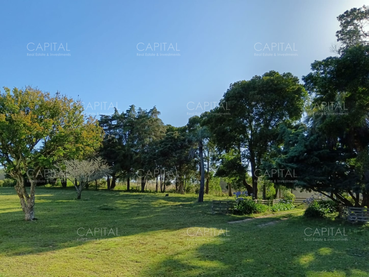 Chacra ID.37396 - CHACRA de 2 HAS.  a 200m de ruta 9 