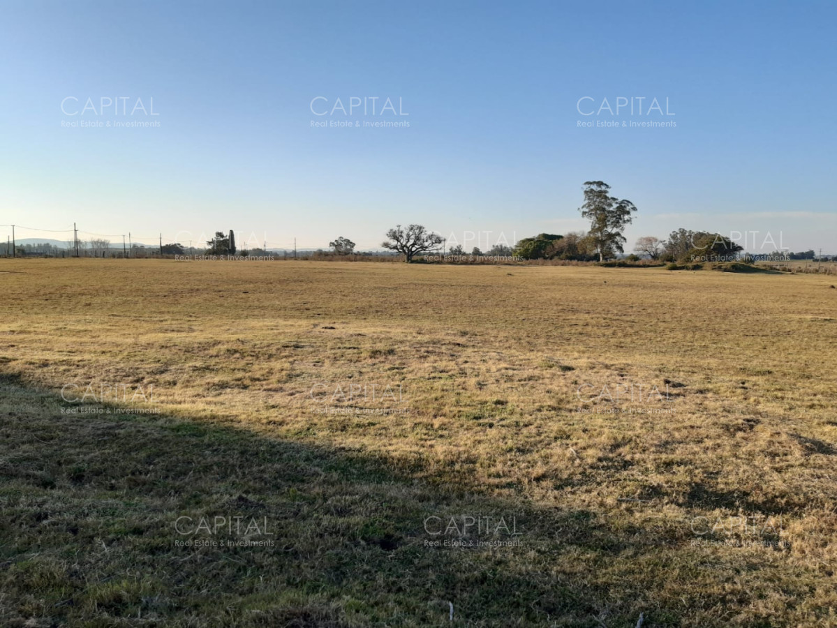 Chacra de 5HAS en venta pegado al Club de Tiro