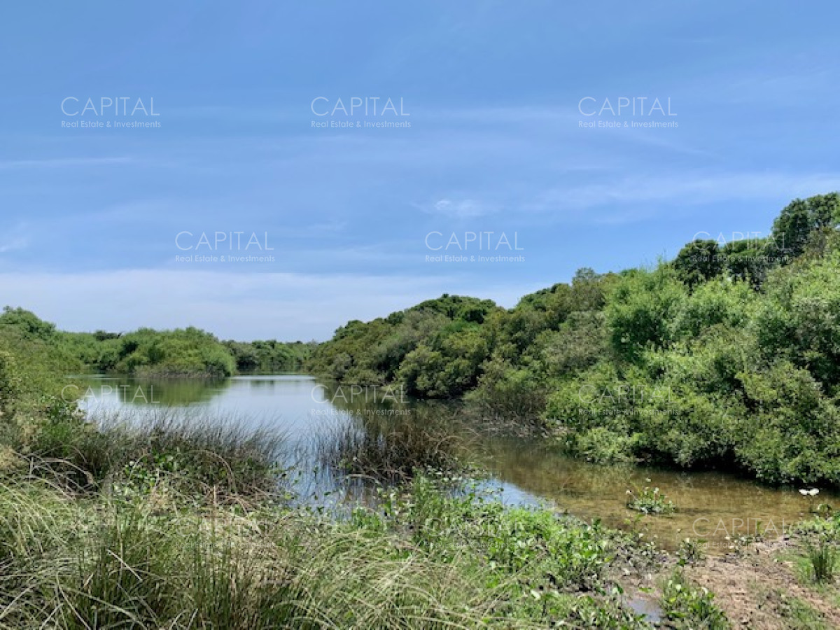 Chacra ID.28488 - Chacra con arroyo de casi 19 hectáreas disponible en Venta