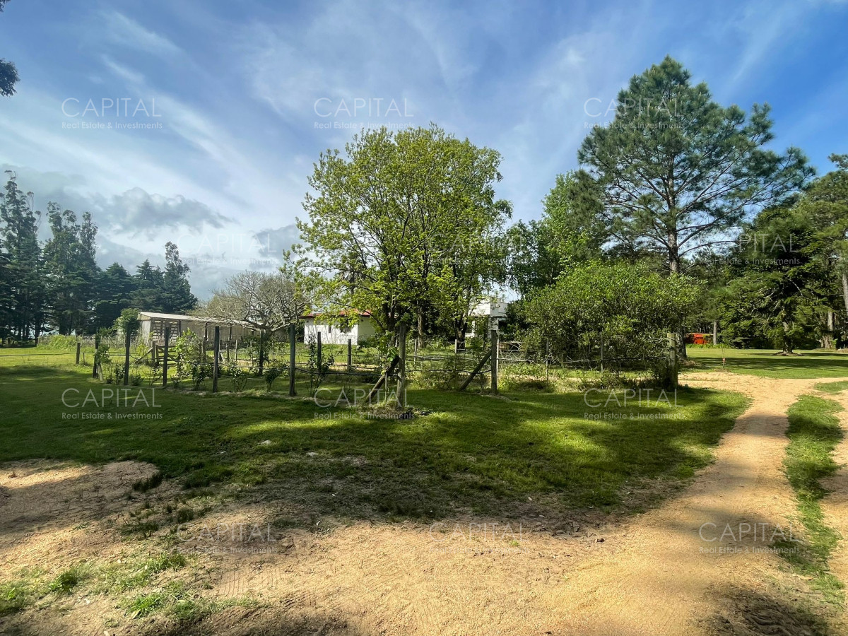 Chacra ID.36917 - Excepcional chacra de 5 has en las proximidades en zona Fasano