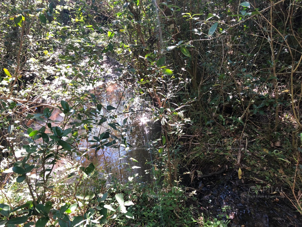 Chacra ID.31247 - Chacra en Ruta 39, en venta