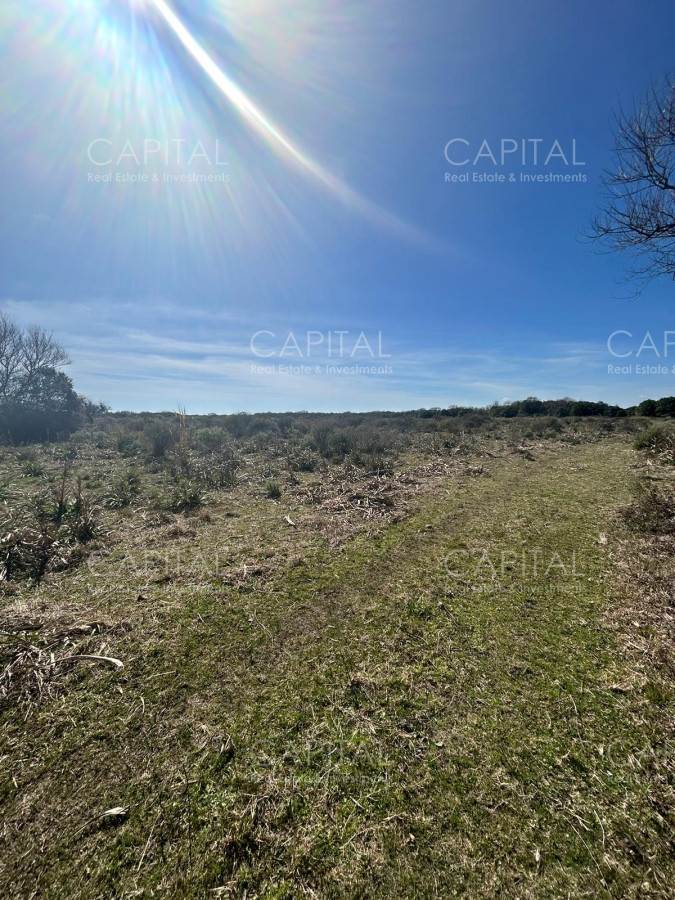 Chacra ID.35123 - Chacra con casa moderna en venta, Ruta 39. 