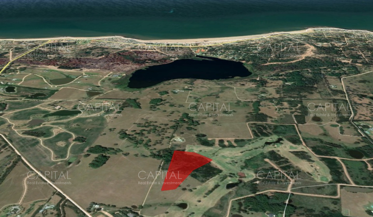 Chacra ID.29037 - Chacra de más de 5 hectáreas en Ruta 104