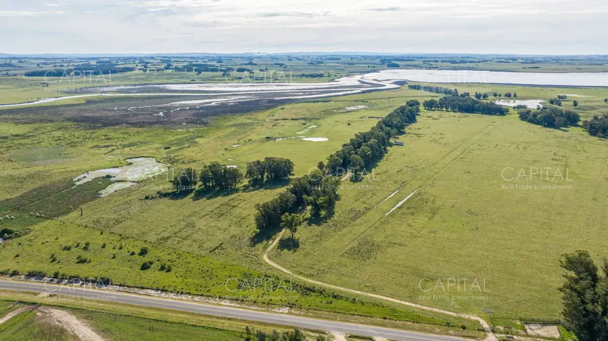 Chacra ID.39457 - Chacra en Venta Jose Ignacio