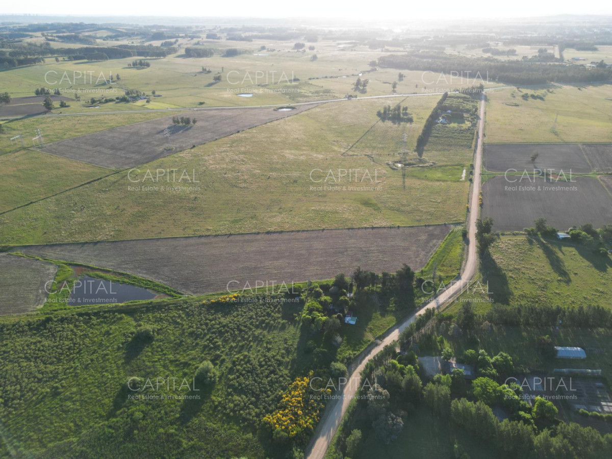 Chacra ID.39216 - Chacra de 6,5 has próximo a MACA ,Pueblo Mío, NARBONA La Plantación