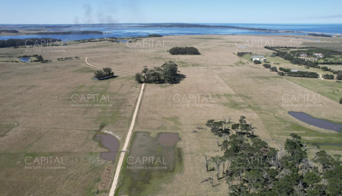 Chacra ID.39731 - Chacra en venta en José Ignacio de 5 hectareas