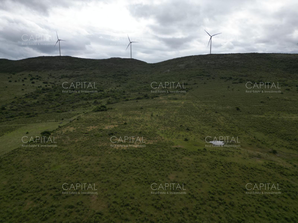 Chacra ID.37213 - Chacras Sierras de caracoles a 30 min de Punta del Este