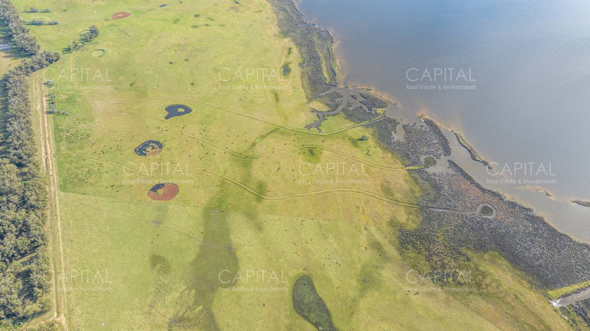 Chacra ID.39456 - ESPECTACULAR CHACRA SOBRE LAGUNA JOSÉ IGNACIO 