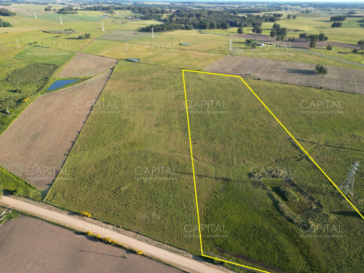 Chacra ID.39216 - Chacra de 6,5 has próximo a MACA ,Pueblo Mío, NARBONA La Plantación