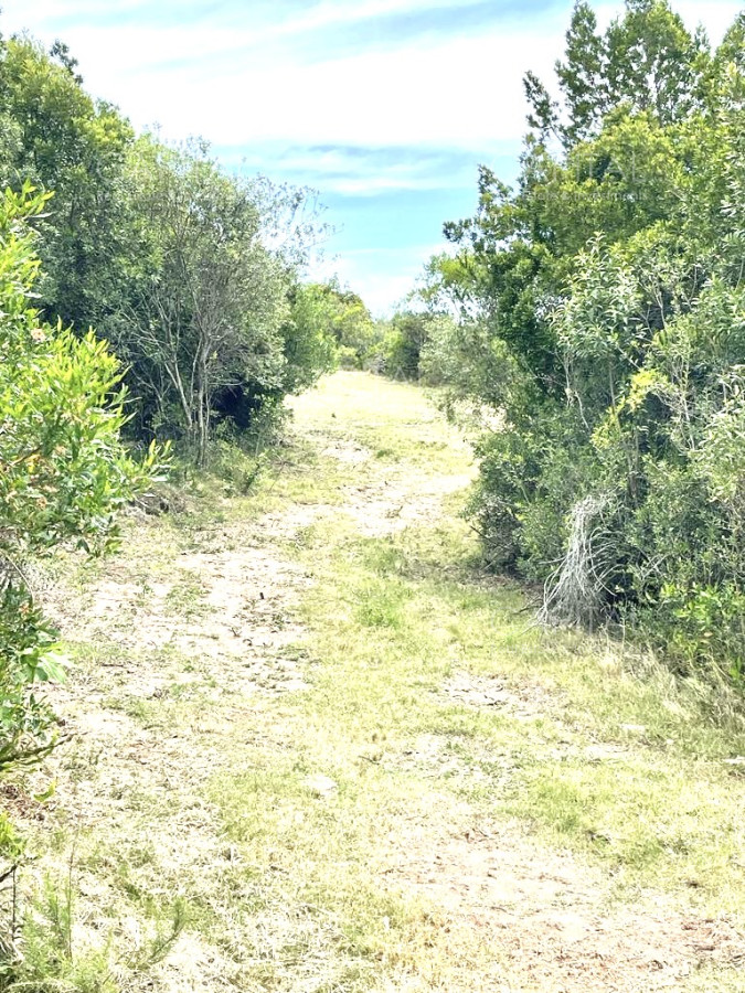 Chacra ID.37859 - Chacra en venta de 5 hectáreas 